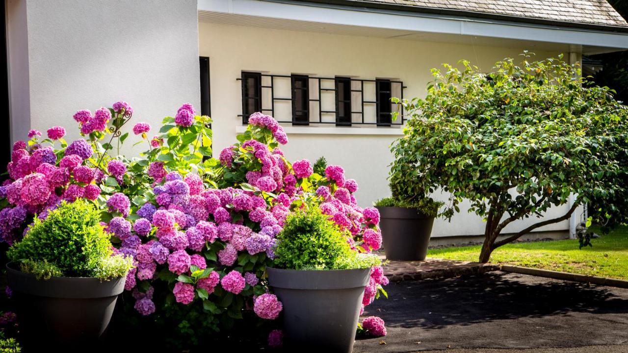 Le Champ Du Renne Bed & Breakfast Le Mans Luaran gambar